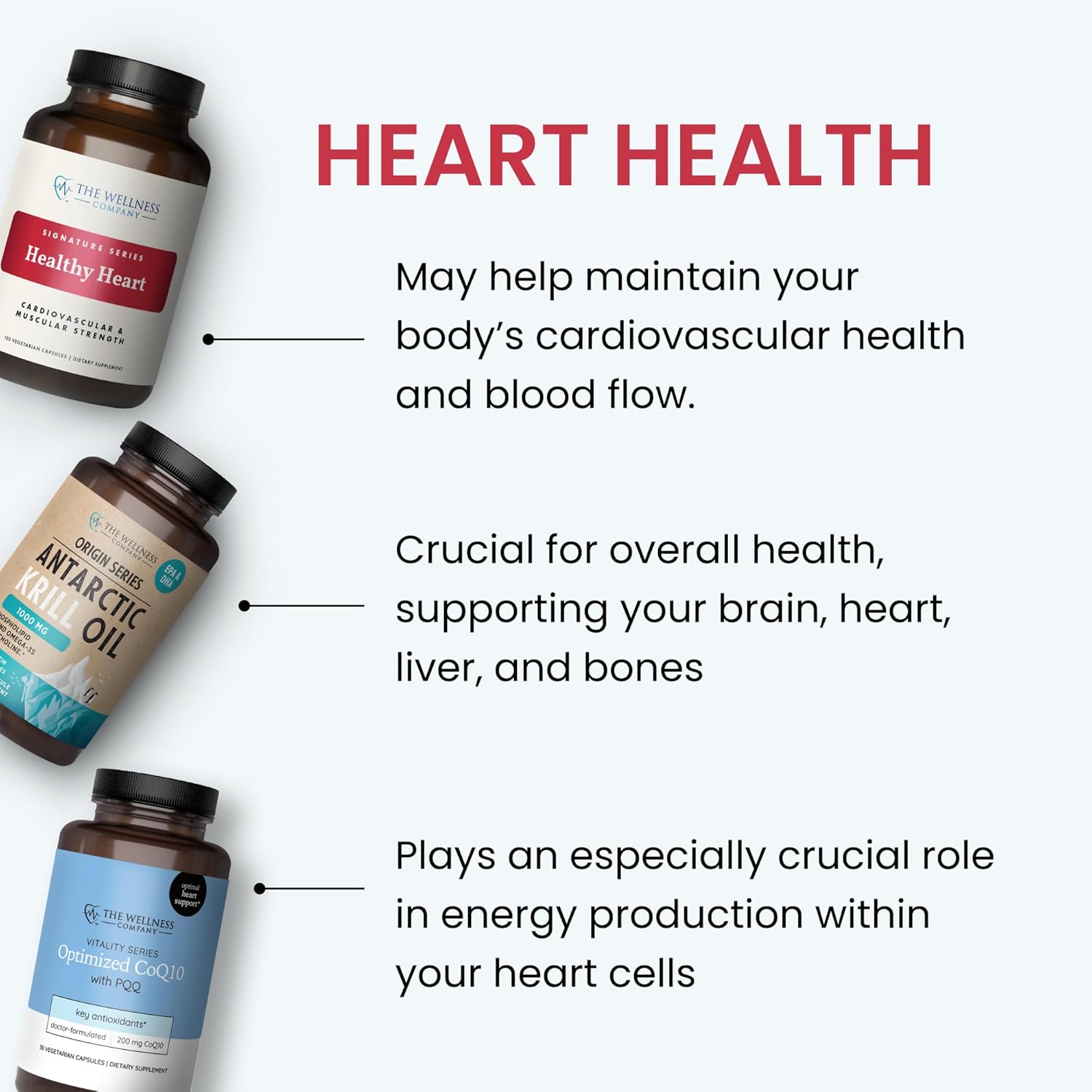The Wellness Company Healthy Heart - Salud Cardiovascular, Flujo Sanguíneo y Producción de Óxido Nítrico | 120 Cápsulas (2 Meses)