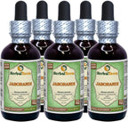 Extracto Líquido de Hojas Secas de Jaborandi (Pilocarpus Jaborandi) 60 ml