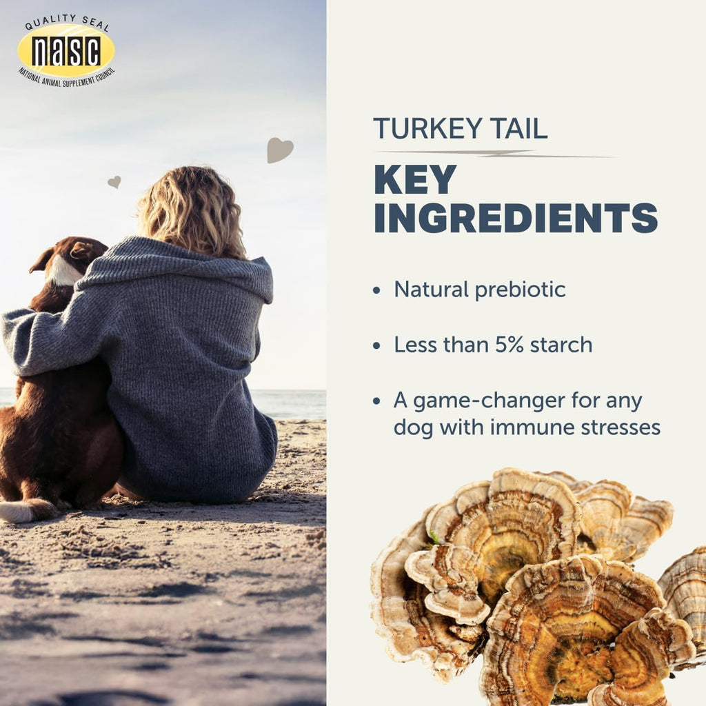 Turkey Tail Orgánico para Perros - Extracto de Cola de Pavo con más del 50% Beta-Glucanos - Probado por Terceros - Fabricado en EE. UU.
