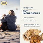 Turkey Tail Orgánico para Perros - Extracto de Cola de Pavo con más del 50% Beta-Glucanos - Probado por Terceros - Fabricado en EE. UU.