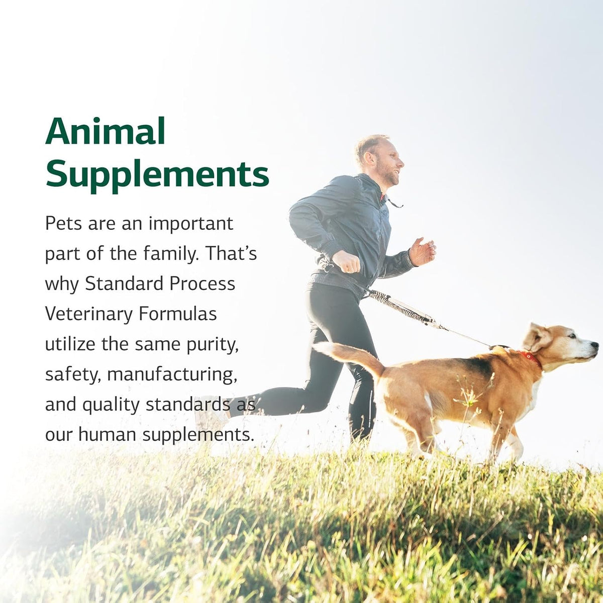 Standard Process VF Thymex para Mascotas - Suplemento de Apoyo al Timo para Perros y Gatos - 90 Comprimidos – Image 6