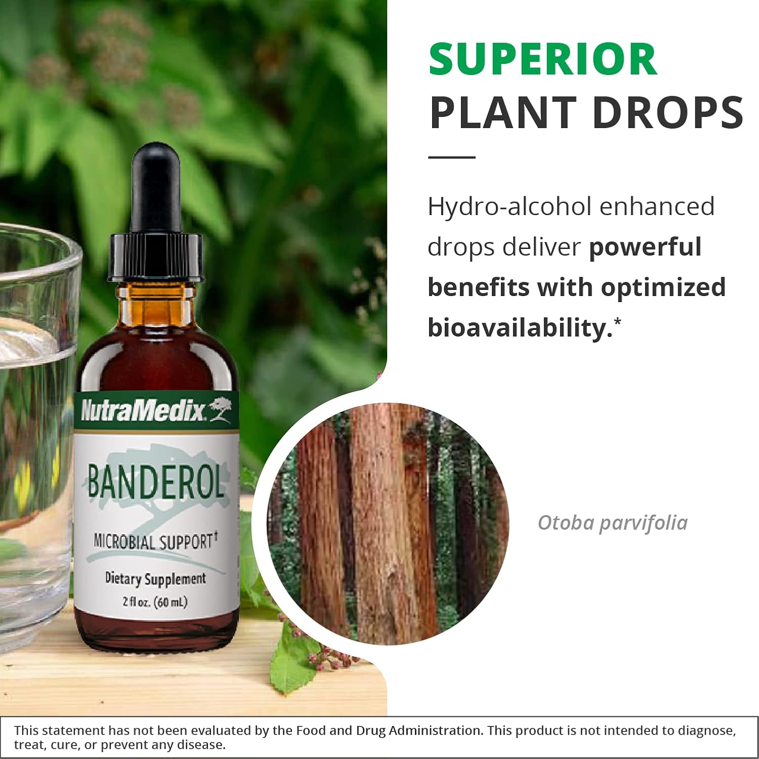 NutraMedix Banderol - Extracto de Corteza de Otoba - Gotas para el Sistema Inmunitario (30 ml)