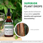 NutraMedix Banderol - Extracto de corteza de Otoba para apoyo inmunológico - Tintura vegana - 60 ml