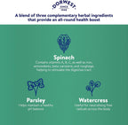 Green Powder Supplement - Suplemento Herbario para Perros y Gatos