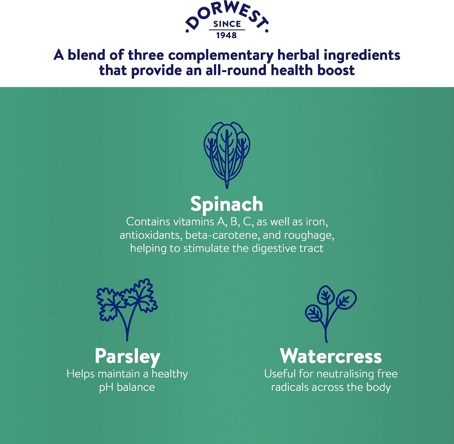 Green Powder Supplement - Suplemento Herbario para Perros y Gatos