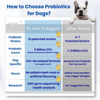 Dr. Kiwi O'dogcat Probióticos para Perros - Salud Digestiva e Inmunitaria