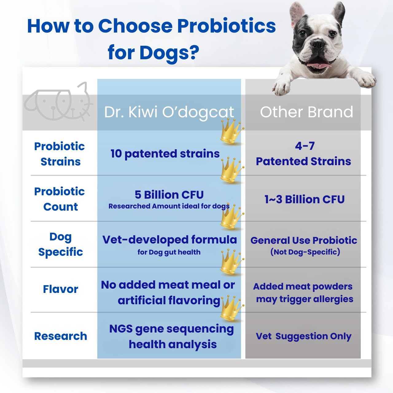 Dr. Kiwi O'dogcat Probióticos para Perros - Salud Digestiva e Inmunitaria
