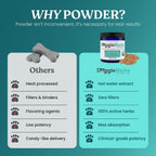 Doggie Herbs High Potency Immune Support – Fórmula de Cuidados Críticos con Setas Turkey Tail, Reishi y Hierbas TCM – Polvo Formulado por Doctor para Recuperación, Vitalidad y Salud Celular – 100g
