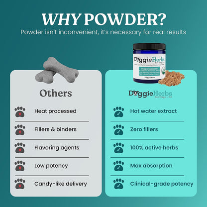 Doggie Herbs High Potency Immune Support – – Cordyceps (Cordyceps militaris): Conocido por su potencial para – Image 5
