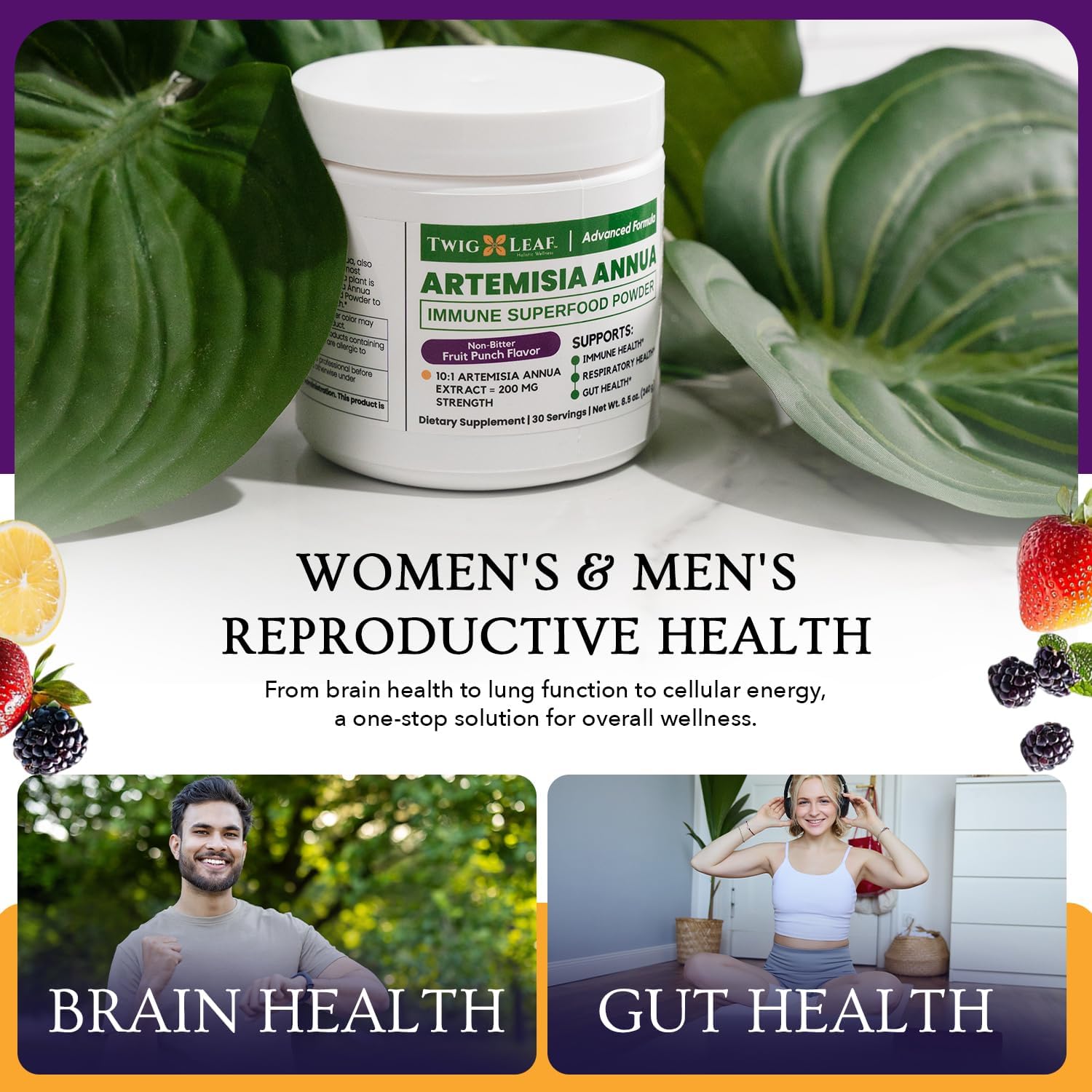 Artemisia Annua Sweet Wormwood Herbal Powder