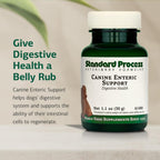 Canine Enteric Support – Suplemento Digestivo para Perros (30 g)