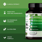 EMERALD LABS Prenatal 1-Daily Multi - Multivitamínico prenatal con folato metilado, hierro y mezcla de alimentos integrales - 60 cápsulas vegetales
