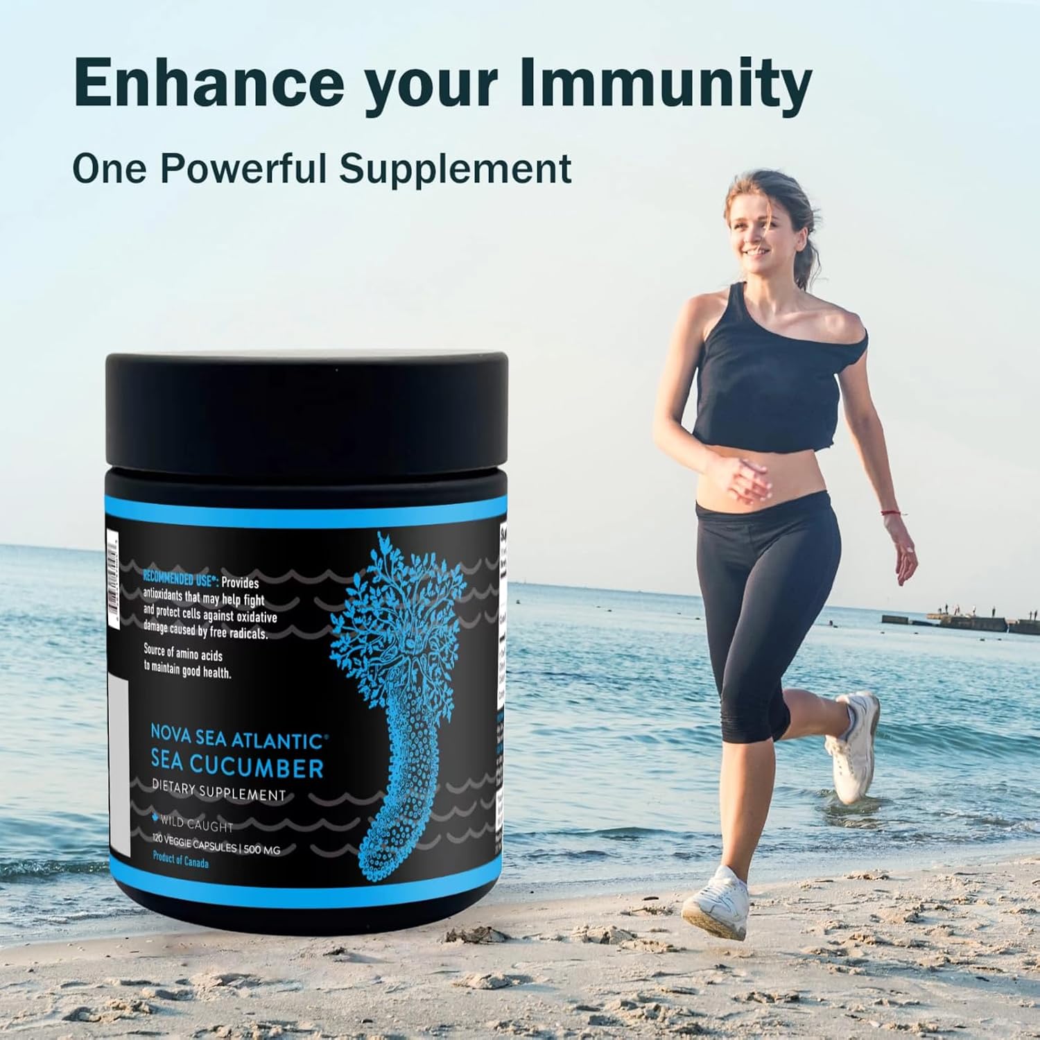 Suplemento de Pepino de Mar Silvestre con Vitaminas Fucosiladas y Minerales - 120 Cápsulas (3 Paquetes)