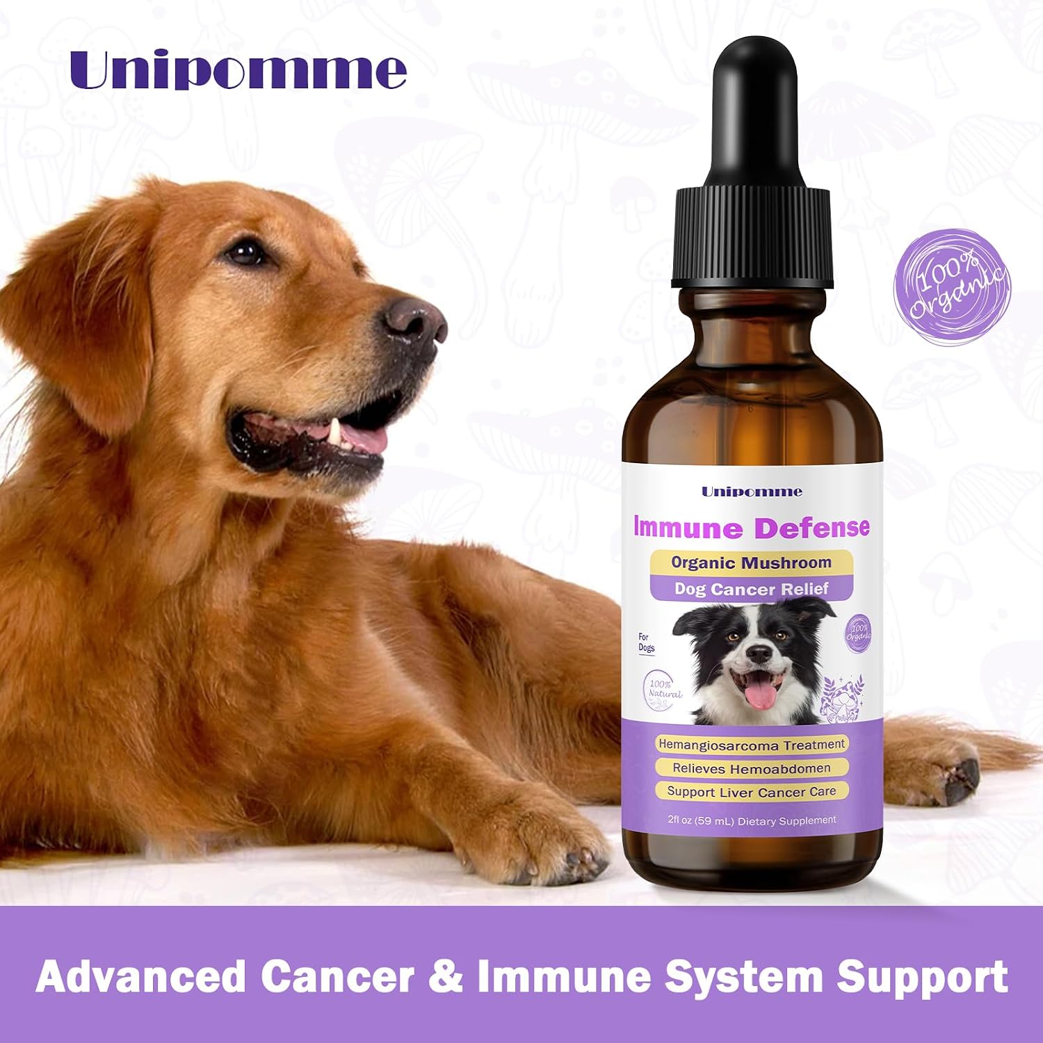 Pet Critical Guard - Suplemento Herbal para Perros contra el Cáncer, 59 ml