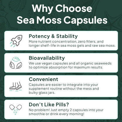 Organics Ocean Cápsulas de Musgo Marino – Musgo marino irlandés silvestre: Recolectado de forma sostenible en el – Image 6