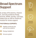 Solgar Complejo B con Vitamina C, Fórmula Anti-Estrés, 250 Comprimidos