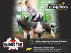 Hammer Time Complemento Nutricional para Cerdos de Exposición, 25 lb