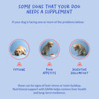 Same para Perros 90 Masticables Suaves - Apoyo Hepático, Cerebral y Cognitivo