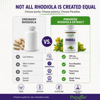 Paradise Herbs Rhodiola Extract 500mg, 60 Cápsulas Vegetales