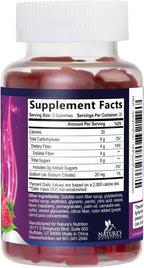 Nature's Nutrition Fiber Gummies – Gomitas de fibra prebiótica sin azúcar, 4g por porción, 60 gomitas