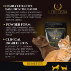 Lexelium Immune Support - Complemento inmunitario en polvo para perros y gatos (200g)