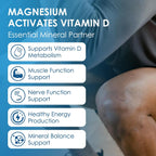 Complejo de Vitamina D3 K2 con Calcio y Magnesio - 6 en 1 - 5000 UI D3, 120 mcg K2 - 120 Cápsulas