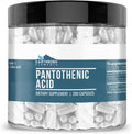 Earthborn Elements Ácido Pantoténico 200 Cápsulas, Puro y Sin Diluir, Sin Aditivos