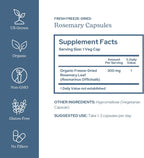 Eclectic Herb - Cápsulas de Romero | 90 Cápsulas | 300 mg | Apoyo Cognitivo