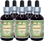 Elecampane (Inula helenium) Glicerita - Extracto Líquido Sin Alcohol de Raíz Seca 60 ml