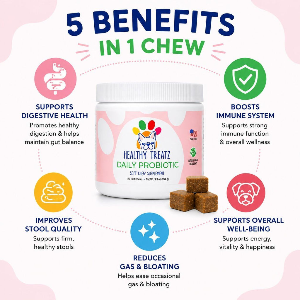 HealthyTreatz Probióticos para Perros – 2 Mil Millones UFC, 6 Cepas con Enzimas Digestivas – Masticables Blandos, 120 uds