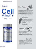NRF2 Activator Antioxidant Supplements for Cell Vitality by Waybest, 60 Cápsulas