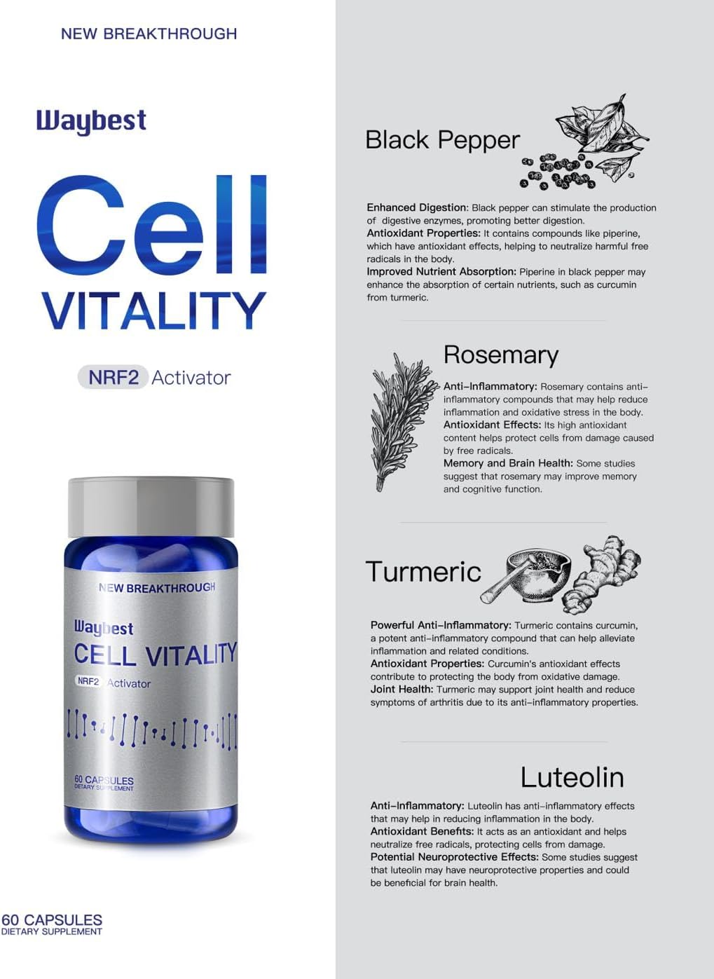 NRF2 Activator Antioxidant Supplements for Cell Vitality by Waybest, 60 Cápsulas