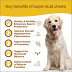 Suplemento de Salud Reproductiva para Perros - Snacks Blandos con L-Carnitina, Zinc, Ginseng y Vitaminas - Apoyo a la Fertilidad y Vitalidad - 120 unidades