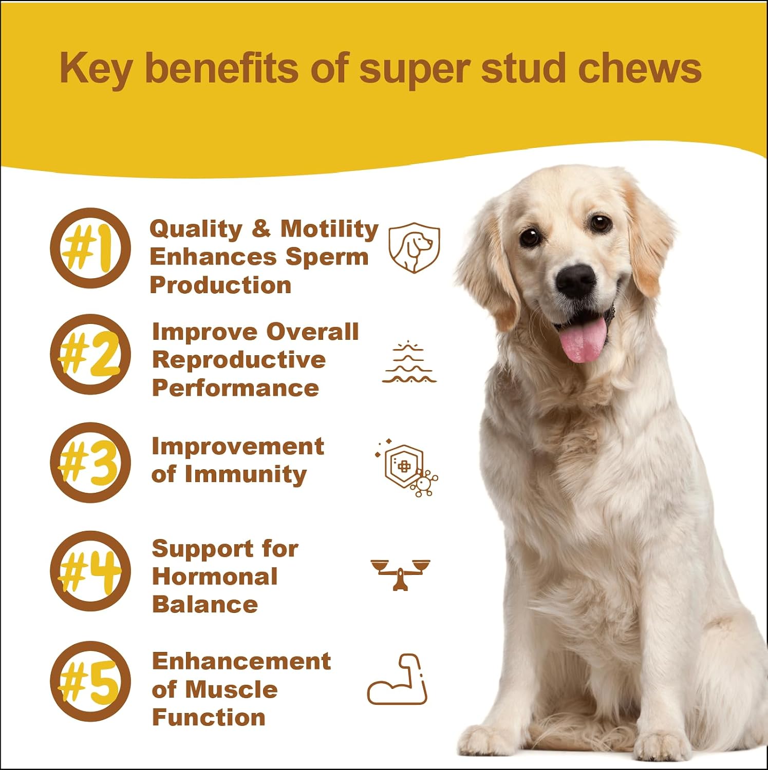 Suplemento de Salud Reproductiva para Perros - Snacks Blandos con L-Carnitina, Zinc, Ginseng y Vitaminas - Apoyo a la Fertilidad y Vitalidad - 120 unidades