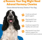 Pet Wellbeing Adrenal Harmony Chewies para Perros - Apoyo Suprarrenal y Equilibrio de Cortisol con Ashwagandha y Bacopa - Certificado NASC y Formulado por Veterinarios - 90 Chews Blandos