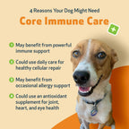 Pet Wellbeing Core Immune Care para Perros - Antioxidante Diario en Polvo (105 g)
