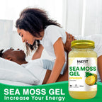 Sea Moss Gel Silvestre 24oz (680g) - 92 Vitaminas y Minerales - Superalimento Vegano No-GMO