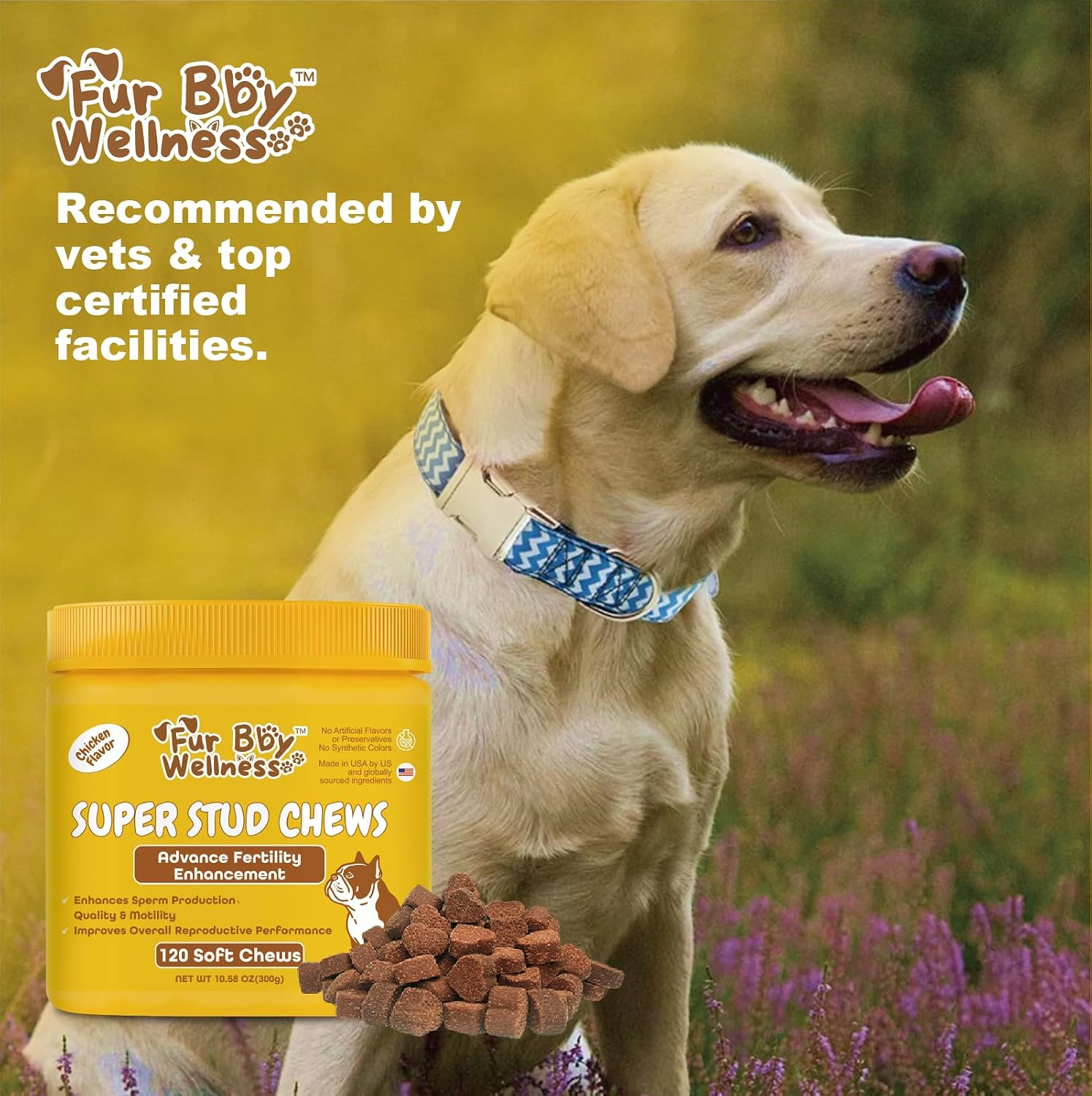 Suplemento de Salud Reproductiva para Perros - Snacks Blandos con L-Carnitina, Zinc, Ginseng y Vitaminas - Apoyo a la Fertilidad y Vitalidad - 120 unidades