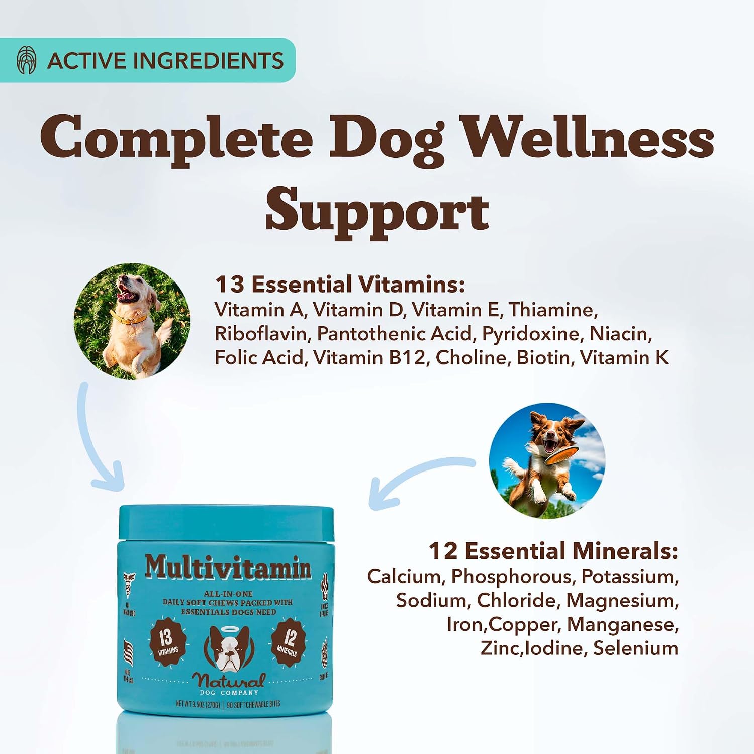 Natural Dog Company Multivitamínico 25 en 1 para Perros – Masticables Blandos Formulados por Veterinarios, 180 unidades