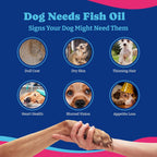 YoYoBay Masticables de Aceite de Pescado para Perros y Gatos - 180 chews blandos sabor pato y pera