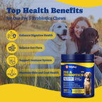 YoYoBay Probióticos para Perros - 180 Chews Blandos Sabor Salmón y Arándano - 6 Mil Millones de UFC con Prebióticos y Enzimas Digestivas