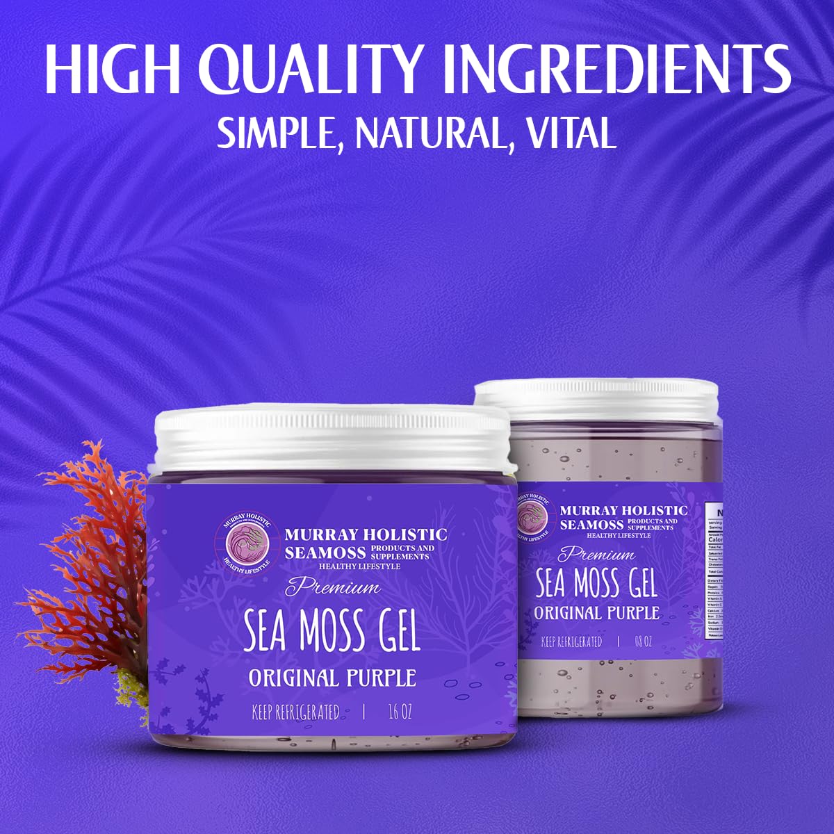 Sea Moss Gel Orgánico Crudo Púrpura Chondrus Crispus (Musgo Irlandés) - 8 oz