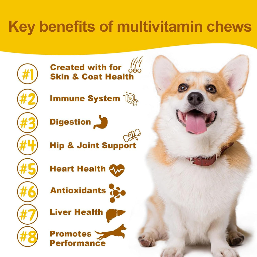 Daily Dog Multivitamin - Multivitamínico Masticable para Perros con Omega 3, Probióticos y Glucosamina - 90 Chews