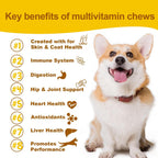 Daily Dog Multivitamin - Multivitamínico Masticable para Perros con Omega 3, Probióticos y Glucosamina - 90 Chews