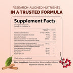 NutriSulin – Complemento de Canela de Ceilán y Berberina (Dihidroberberina) con Complejo de Azúcar en Sangre: Myo-Inositol, Melón Amargo, R-ALA, Vitamina D, Cromo, Magnesio y Zinc – 90 Cápsulas