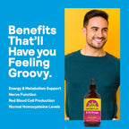 Nature's Life Liquid Vitamin B12 5000 mcg - Methylcobalamin - B12 Supplement for Energy Metabolism & Nerve Function - Berry Flavor, Sugar-Free (200 Servings, 4 fl oz)