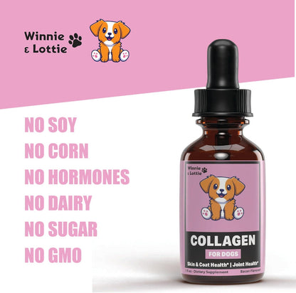 Winnie & Lottie Colágeno Líquido para Perros – Colágeno bovino hidrolizado – Image 6