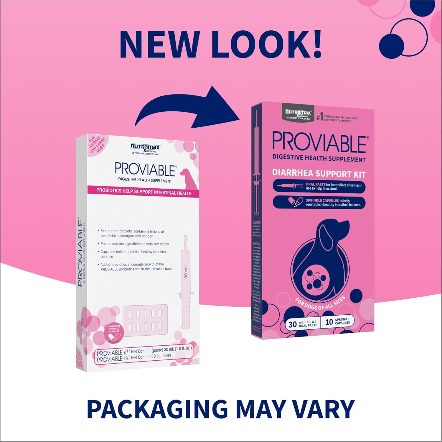 Nutramax Proviable Probióticos para Perros - Kit de Apoyo para Diarrea, 30 ml Pasta y 10 Cápsulas