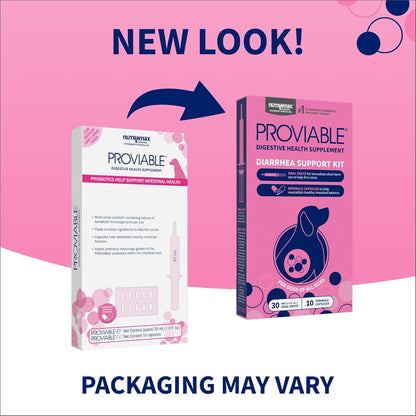 Nutramax Proviable Probióticos para Perros - Kit de Apoyo para Diarrea, 30 ml Pasta y 10 Cápsulas – Image 2