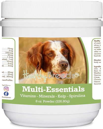 Healthy Breeds Irish Red and White Setter – Apoyo al sistema inmunológico: las vitaminas y antioxidantes pueden – Image 1